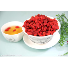 Wolfberry Saft Pulver / Wolfberry Extrakt Pulver / Wolfberry Pulver / Goji Beeren Pulver für Goji Beeren Saft